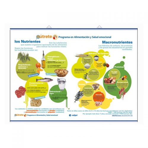 Nutrientes - Macronutrientes / Micronutrientes: Minerales - Vitaminas